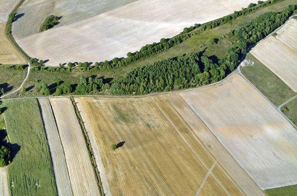Luftbild vom Grünen Band zwischen Bayern und Thüringen
