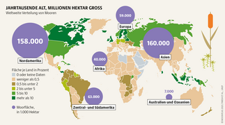 Beispielgrafik aus dem Mooratlas 2023
