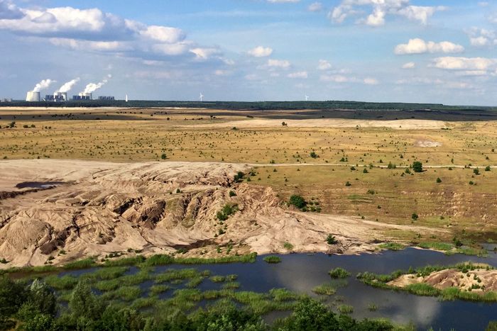 Landschaft