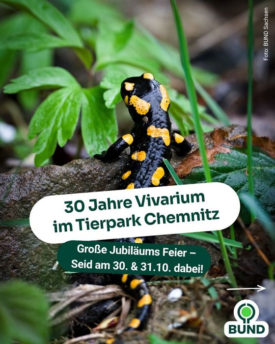 Feuersalamander-Vortrag