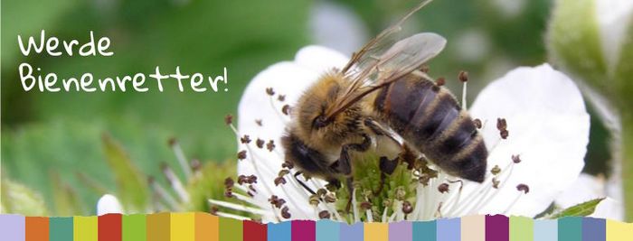 Banner mit der Aufschrift werde Bienenretter