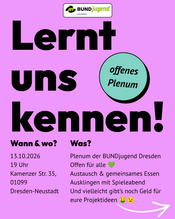 Einladung zum Plenum in Dresden, 13. Oktober. Text: „Lernt uns kennen!“. Austausch bei Essen & Spielen. Vorstellung Young Impact Fund.