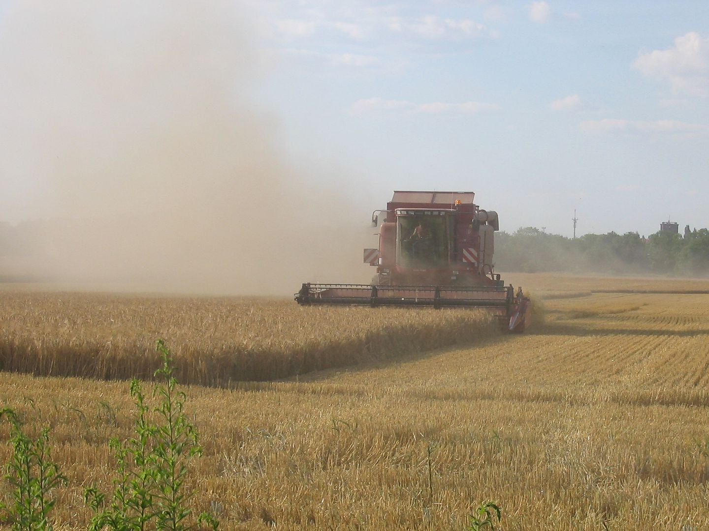 Ein Mähdrescher fährt über ein Feld