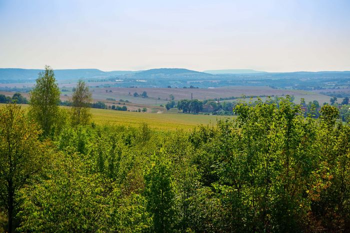 Feld nähe Pirna