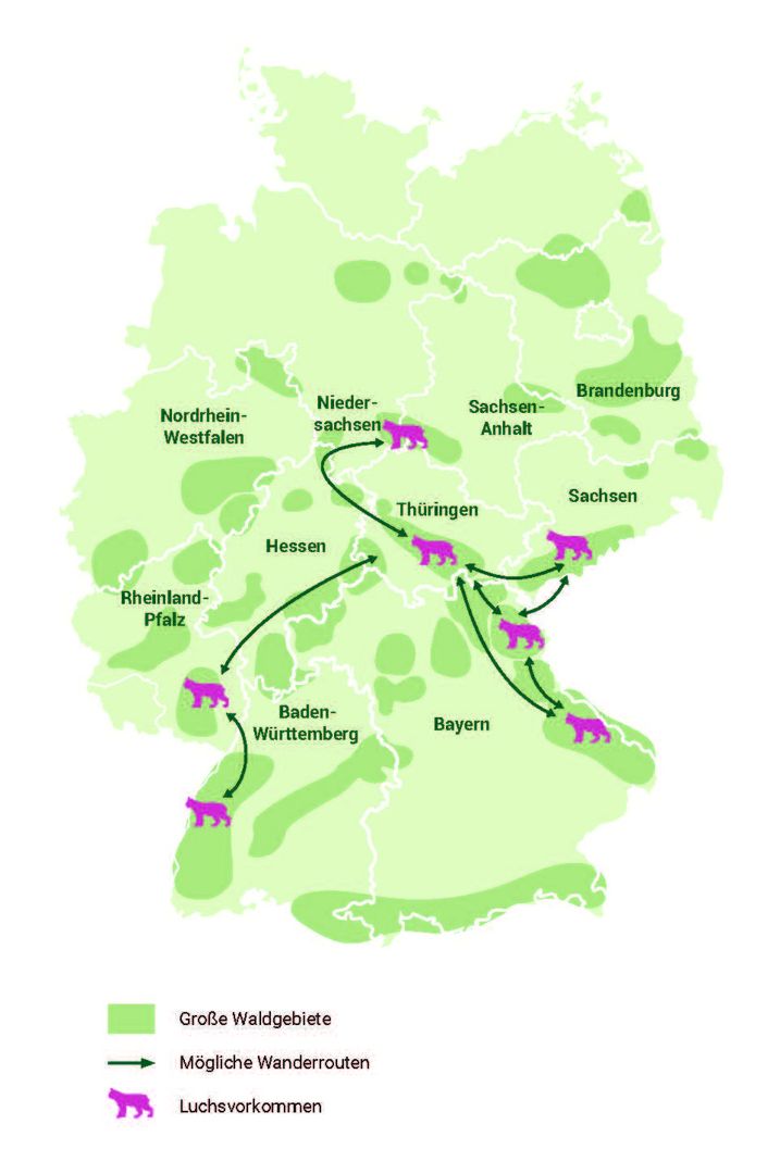 Auf der Karte sind die aktuellen Vorkommen und ihre möglichen Wanderrouten eingezeichnet.