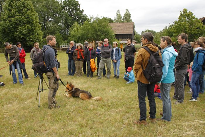 Aktiventreffen 2017: Wolfswanderung