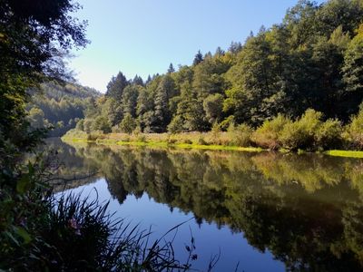 Der Fluss Zschopau