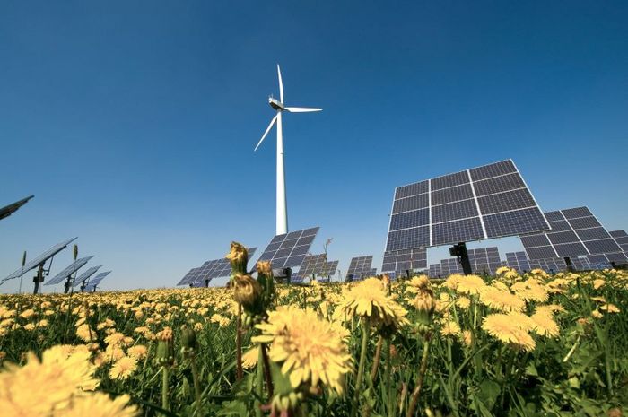 Erneuerbare Energiegewinnung