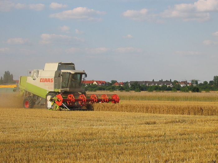 Ein Mähdrescher fährt über ein Feld