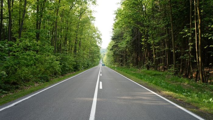 Straße durch einen Mischwald im Erzgebirge