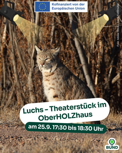 Luchs Plakat für das Luchs-Theather 