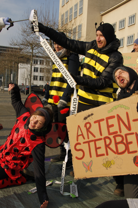 Bildaktion gegen das Insektensterben