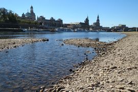 Elbe-Niedrigwasser in Dresden