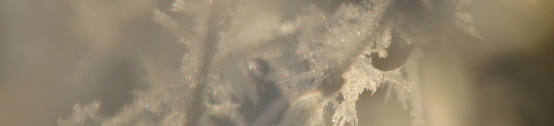 Eiskristall Nebel